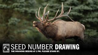 2026 Seed Drawing