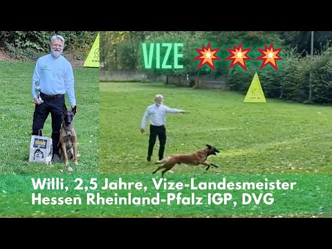 IGP Landesmeisterschaft DVG Hessen Rheinland-Pfalz ++ Willi und ich sind Vize Landesmeister 💥