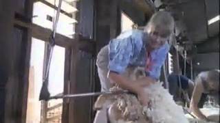 Olivia Newton-John - Click Go the Shears