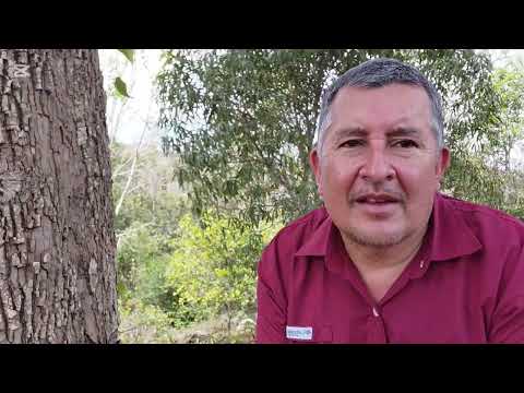 ALDEA El ROSARIO Y RIO MOPAN DOLORES PETÉN  🇬🇹👍