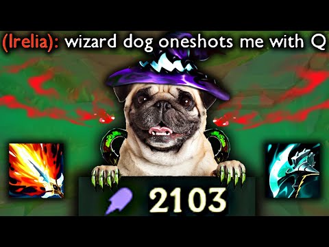FULL AP WARWICK = WIZARD DOG