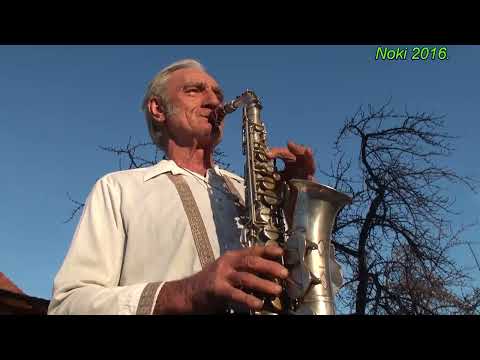 6.Petar Ljeparevic - Valentinino kolo YUTUB