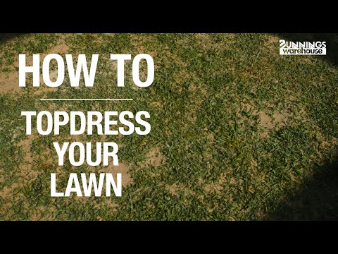 How To Topdress Your Lawn - Bunnings Warehouse