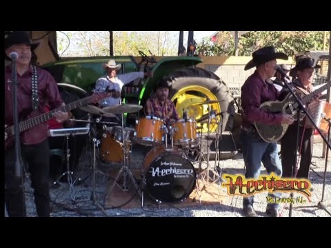 PolkaCumbia Hechizero de Linares ( Video Musical en Vivo)