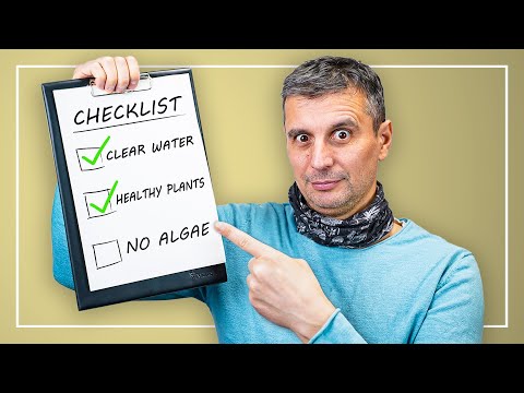 Maintain Your Aquarium LIKE A PRO | The ULTIMATE Maintenance Checklist