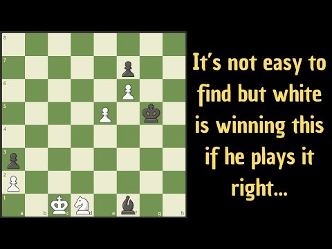 Exact play wins this for white