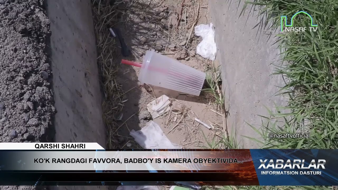 KO'K RANGDAGI FAVVORA, BADBO'Y IS KAMERA OBYEKTIVIDA...