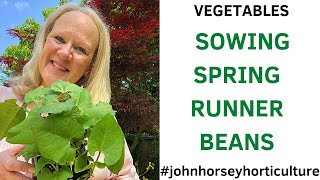 HOW TO SOW RUNNER BEANS IN MODULES - SOWING SCARLET RUNNER BEAN SEEDS