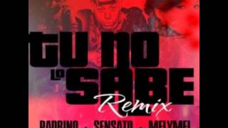 Sensato Ft. Padrino y Melymel  - Tu No Lo Sabe (Official Remix)