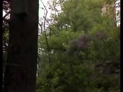 Petr Nárožný všechno naruby