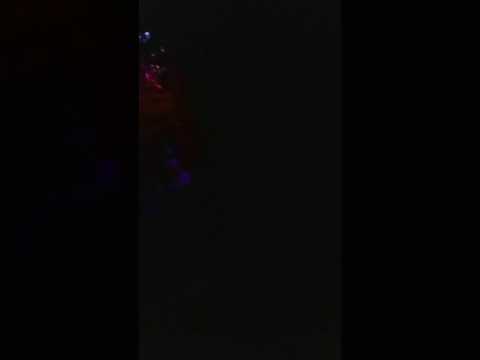 Music on Neverdogs...2/11/16 flash factory ny😎♫