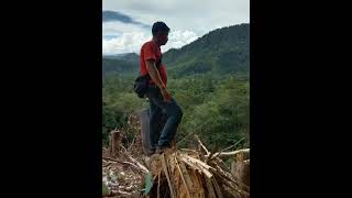 Download lagu 3D mp3