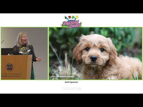 Liz Rice - Building a successful Cloud Native Business on Open Source