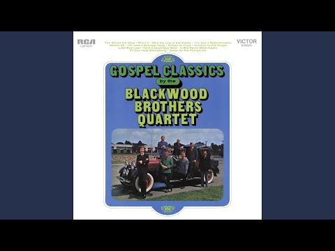 Thumbnail for If We Never Meet Again video