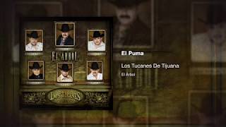 El Puma - Los Tucanes De Tijuana [Audio Oficial]