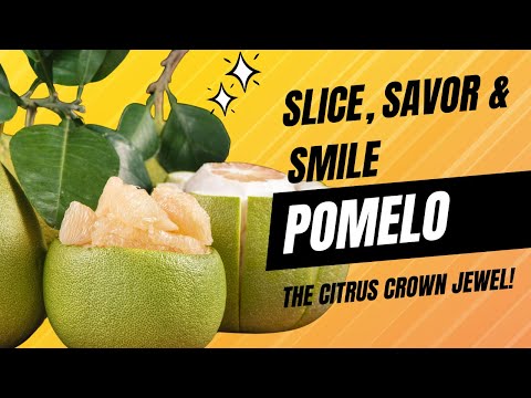 The Ultimate Guide to Pomelo: Health Benefits, Recipes, and How to Eat It