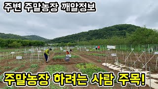 나도 올봄엔 텃밭을 시작해 볼까? [내주변텃밭찾기편]│농사직방