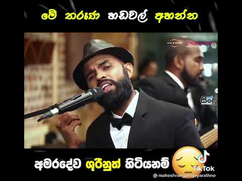 නිවහල් සිතුවිලි සිතනා / Niwahal sithuwili nagana cover song