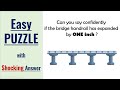 90 Fail The Easiest Puzzle In The World Longest Bridge Surprising Answer