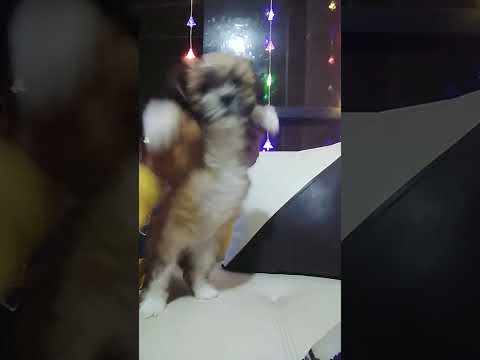 22 de diciembre de 2023