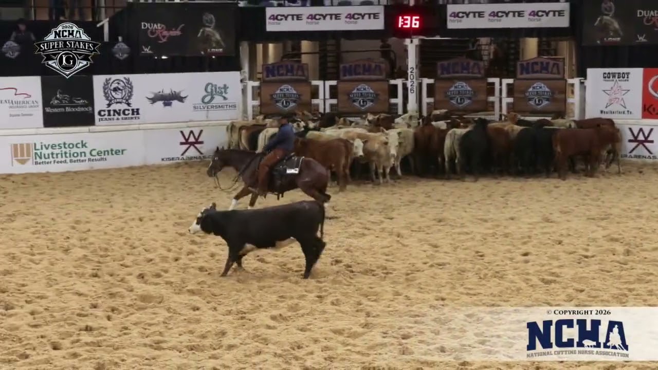 LBR Hangem shown by Kenny Platt - 2026 NCHA Super Stakes 5/6 Open finals - 228