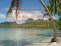 This week the trend - relient k with lyrics