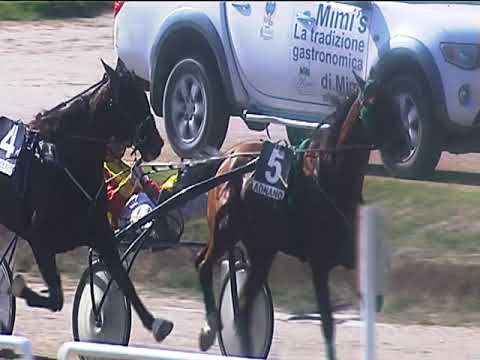 Trotto 10/05/2019 - 5ª corsa