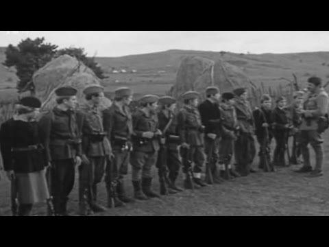 Goša sa Raskršća - PUŠKAR (2017.)