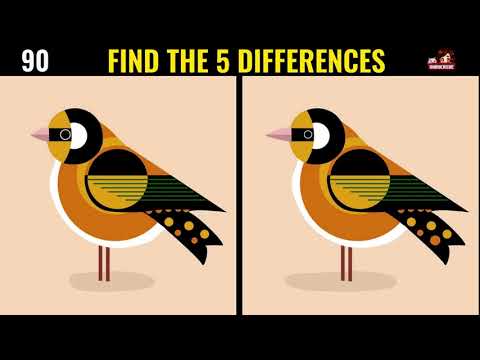 Have you ever seen such a difficult spot the difference game? Try this one first! (NO.11）