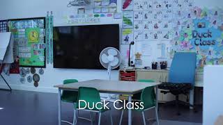 Year 1 - our new normal