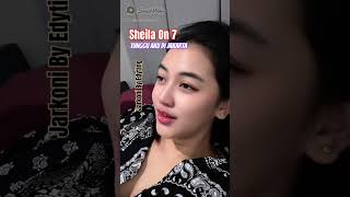 Download lagu Tunggu Aku Di Jakarta Sheila On 7 mp3