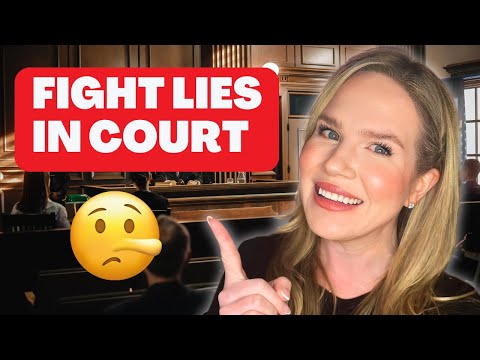 How to PROVE False Domestic Violence Accusations in Court!