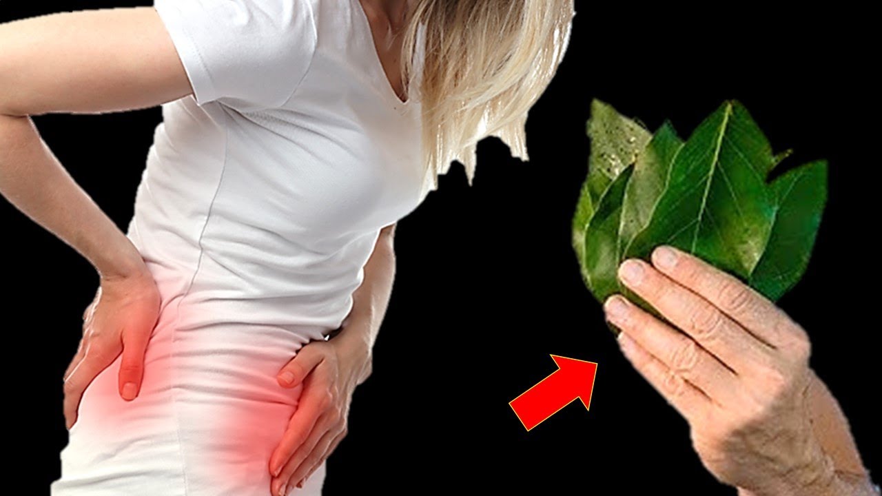 1 folha destrói inflamação, infecção urinária, pressão alta, colesterol, gastrite (Você sabia)