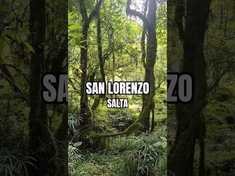 Quebrada de San Lorenzo, Salta