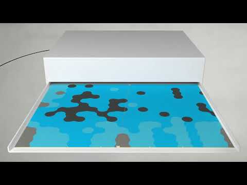 DZL|plateXL | Animation