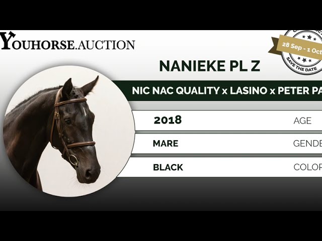 Nanieke trainingsvideo