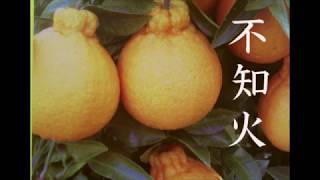 YouTubeの活動方針やこれからについて