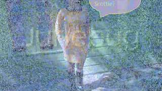 Junebug!  Lyrics and music by The B-52&#39;s