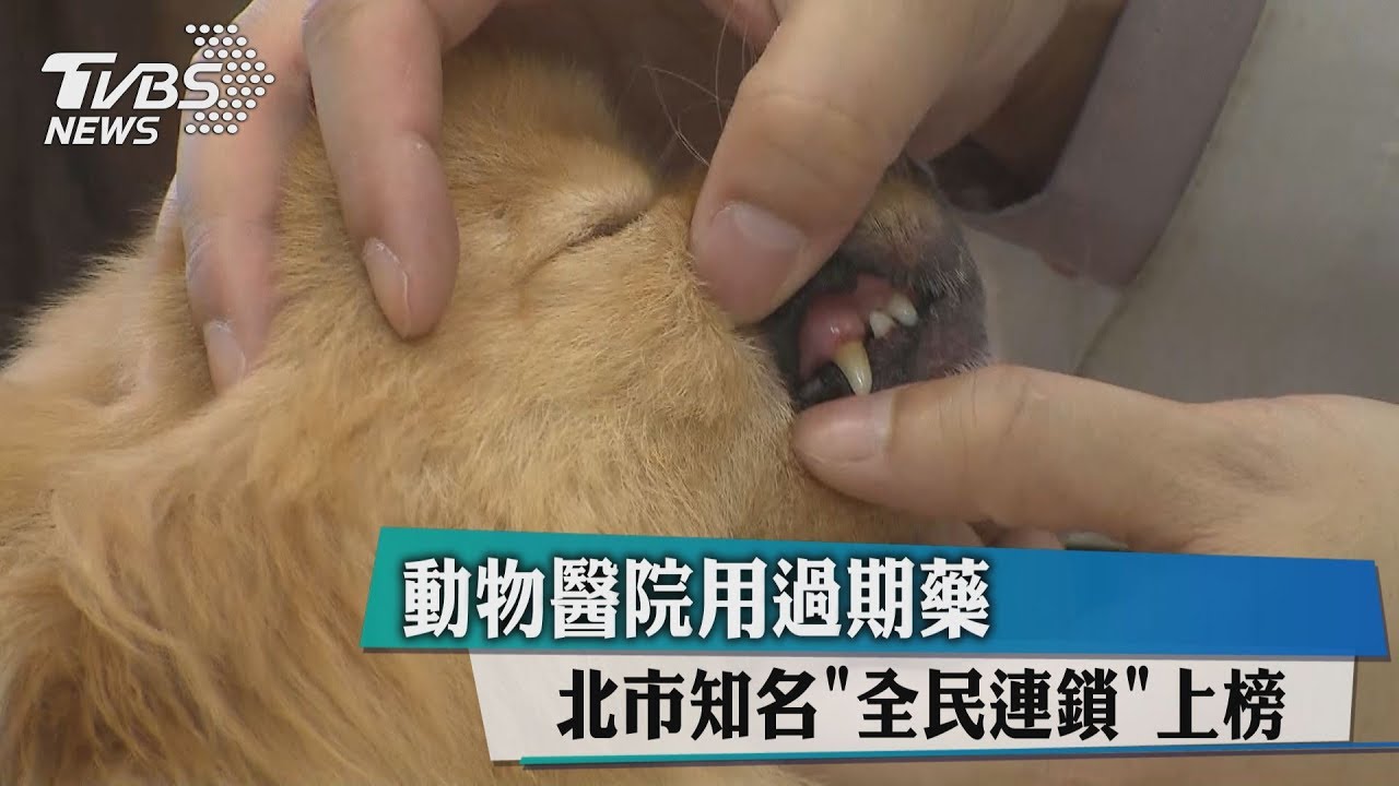 動物醫院用過期藥 北市知名「全民連鎖」上榜