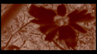 Actuary - Baptized in Flames