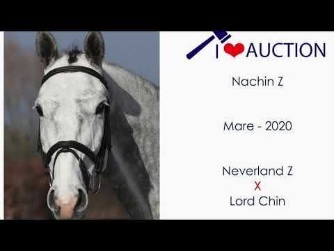Nachin Z Movements