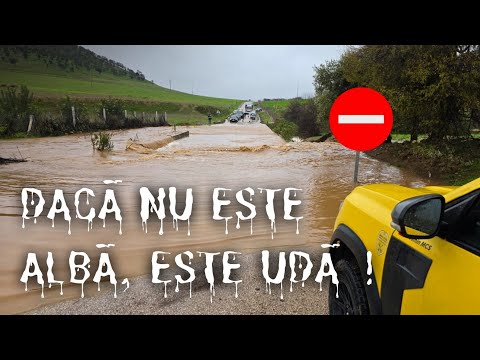 Ep.9 🆘️Drum blocat de apă în Africa🆘️Mergem înainte-Dusterul MCS nu renunță🐫✅️❎️