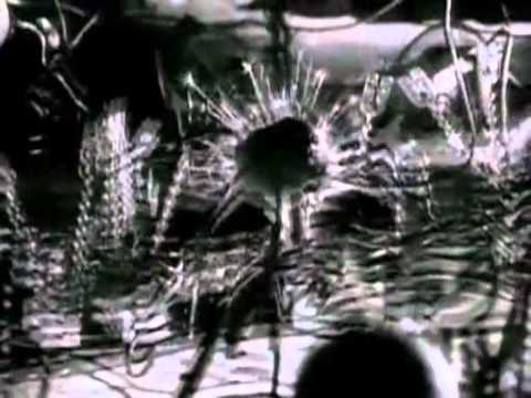 Muzika Poludelih - Ronin.mp4