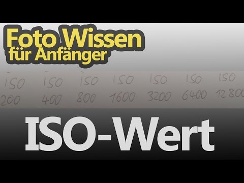 Der ISO-Wert beim Fotografieren - einfach erklärt