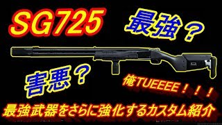 【CoD:MW実況】SG「725」最強害悪？武器をさらに強化するカスタム紹介！【725＝実況者あたらしいこくご】