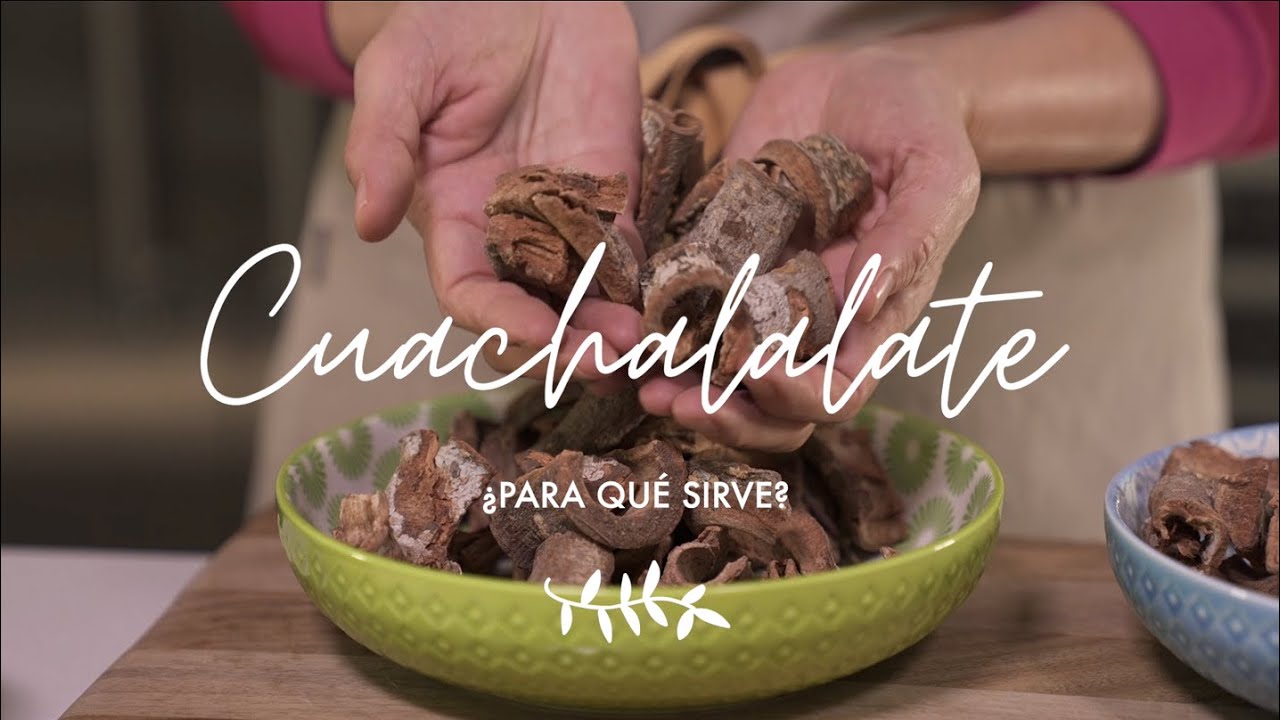 Watch Qué es el CUACHALALATE y cuales son sus beneficios, como es y donde crece Now Qué es el CUACHALALATE y cuales son sus beneficios, como es y donde crece