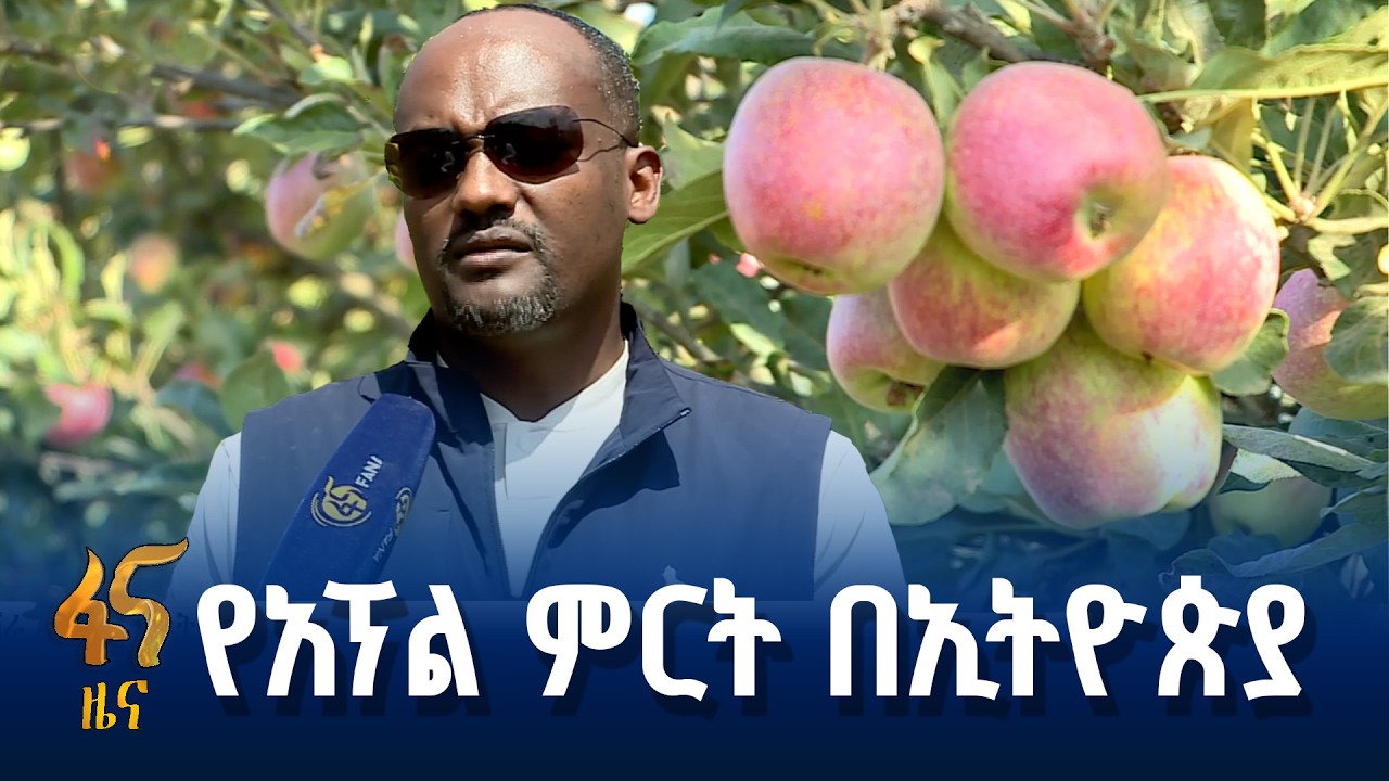 ለምግብ ዋስትና መረጋገጥ