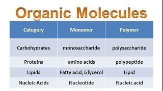 Organic Molecules & Carbohydrates (honors biology) updated