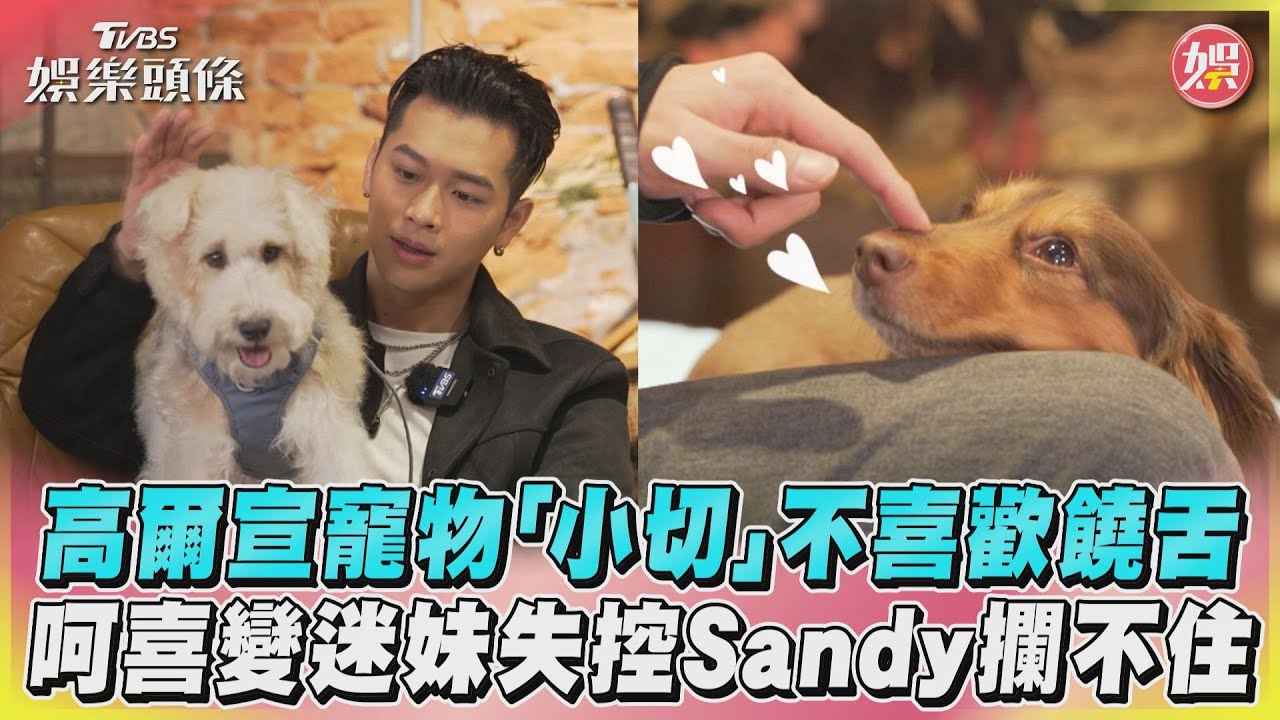 影音/高爾宣寵物「小切」不喜歡饒舌 呵喜變迷妹失控Sandy攔不住