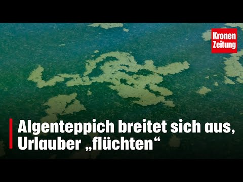 Verschleimte Adria: Urlauber enttäuscht | krone.tv NEWS